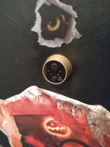 4.3 Inch Color LED Peephole Camera photo review